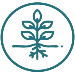 Icone_Enracinement_250px Icone_Enracinement_250px