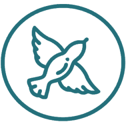 Icone_Liberté_250px-2